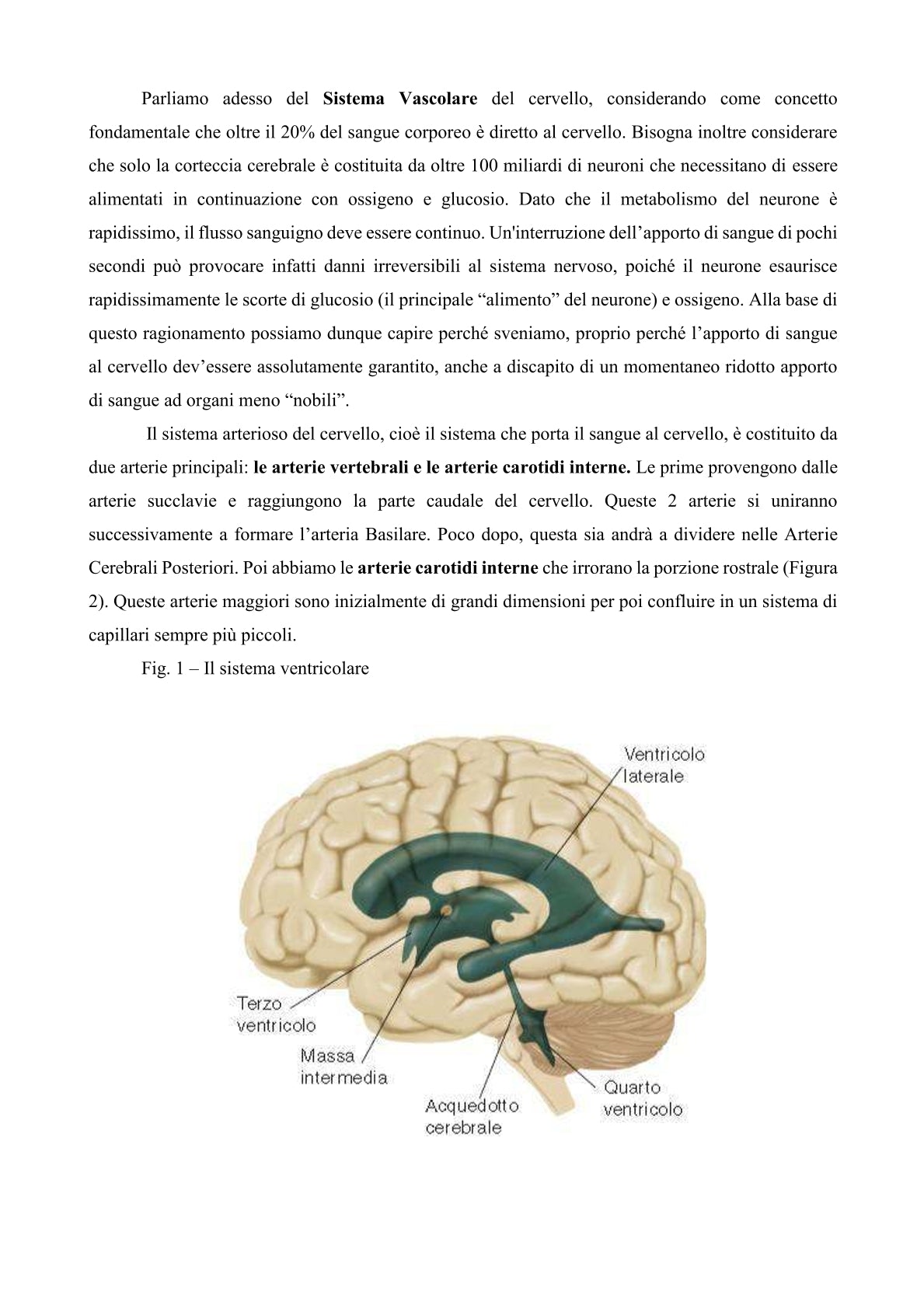 Fisiologia del Comportamento